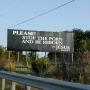 Susan Long Photo 36