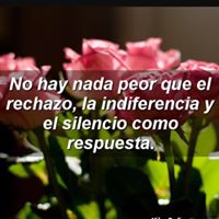 Virginia Cardenas Photo 34
