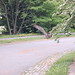 Benjamin Hawks Photo 8