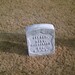 Robert Mcpherson Photo 2