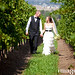Tim Valley Photo 6