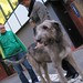Johnnie Human Photo 8