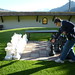 Vicki Zell Photo 4