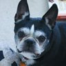 Wendy Crow Photo 23