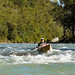 Dianne Redding Photo 4