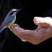 Patrick Bird Photo 9