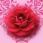 Virender Pal Photo 15