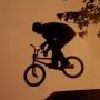 Carl Morris Photo 36