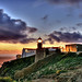 Mark Infante Photo 8