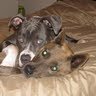 Heather Sitton Photo 7