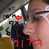 Noam Aviv Photo 6