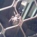 Robert Huntsman Photo 9