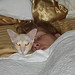 Kathleen Keefe Photo 6