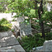 Harry Majors Photo 8