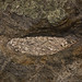 Sherry Ash Photo 5