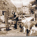 William Robertson Photo 3