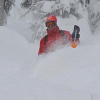 Larry Epstein Photo 26