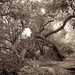 Barbara Olds Photo 9