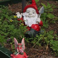 Carol Graser Photo 14