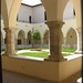 Tommaso Fondi Photo 2