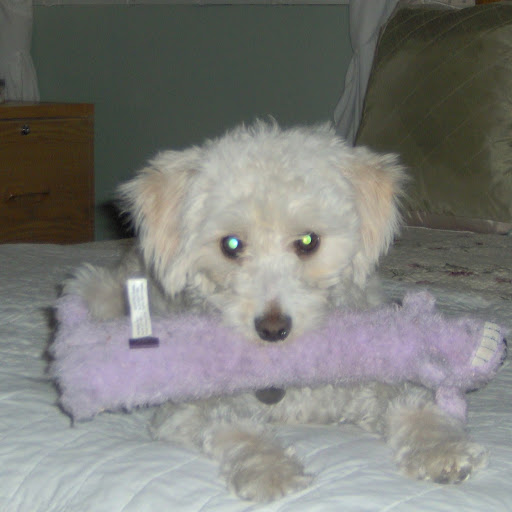 Nancy Keller Photo 30