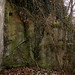 Darin Soll Photo 5