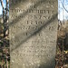 John Merritt Photo 18