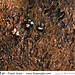 Tamara Lee Photo 14