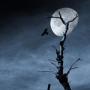Esteban Huerta Photo 8