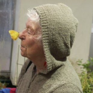 Cindy Finch Photo 21