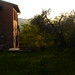 Maria Poggio Photo 9