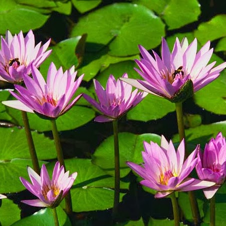 Naresh Ahuja Photo 21