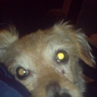Peter Fusco Photo 22