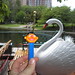 Ernie Swan Photo 1