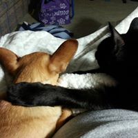 Debra Herring Photo 9