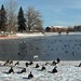 Kathleen Swan Photo 10