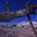 Shel Reed Photo 6
