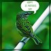 Patrick Bird Photo 10