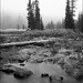 Kyle Cushman Photo 11