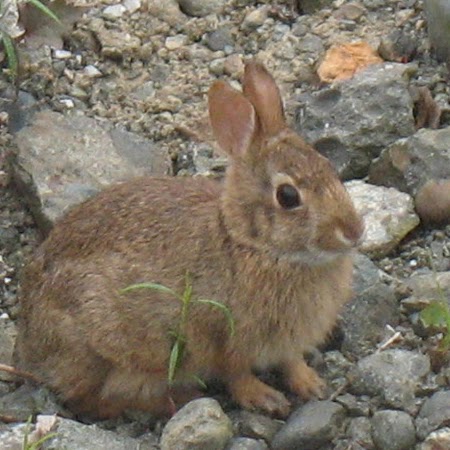 Daniel Pruden Photo 11