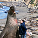 Jim Frisch Photo 10