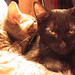 Kitty Bruce Photo 6