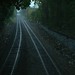 Misty Porter Photo 8