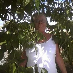 Paula Higdon Photo 24