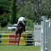 Ellen Gill Photo 10