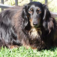Darlene Greene Photo 41
