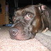 Rowdy Jones Photo 6