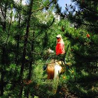 Nancy Estes Photo 29