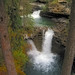 Misty Johnston Photo 5