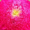 Neena Paul Photo 20